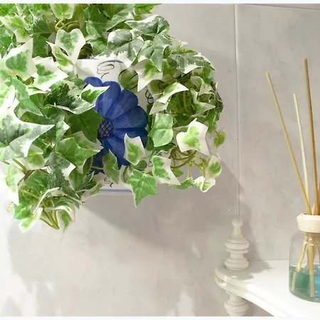 Llanos Relax Vut 5578 As