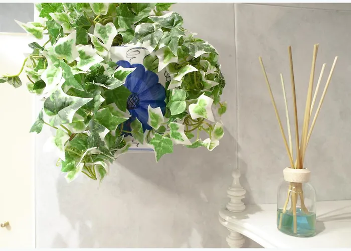 Llanos Relax Vut 5578 As